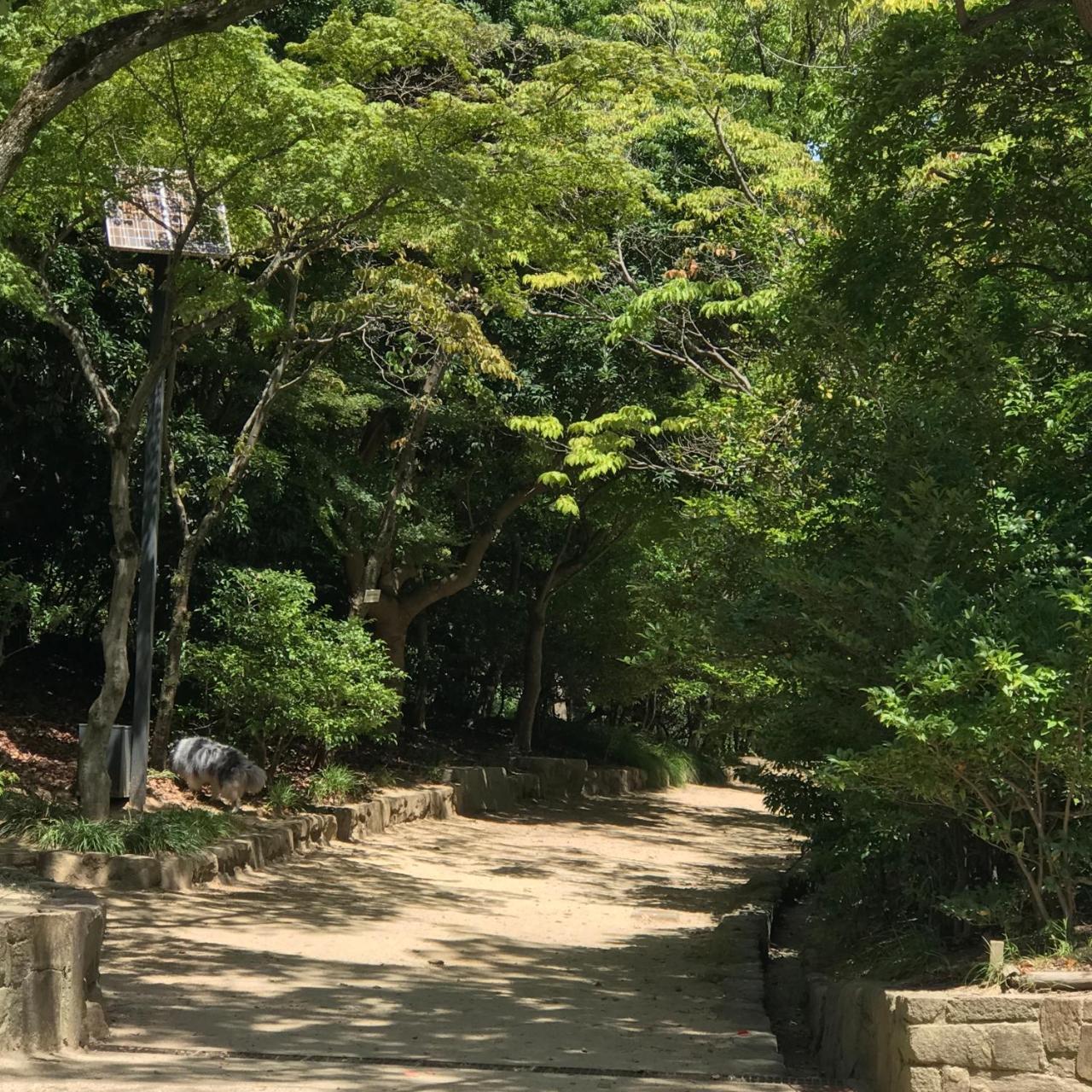 Koi Koi Daire Takamatsu Dış mekan fotoğraf